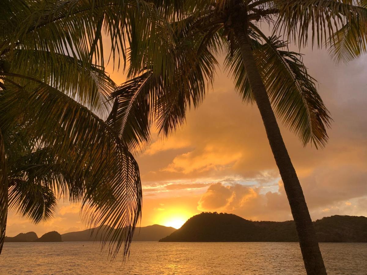 Bungalow Anolis Face A La Mer A 2 Min De La Plage. Terre-De-Haut ภายนอก รูปภาพ