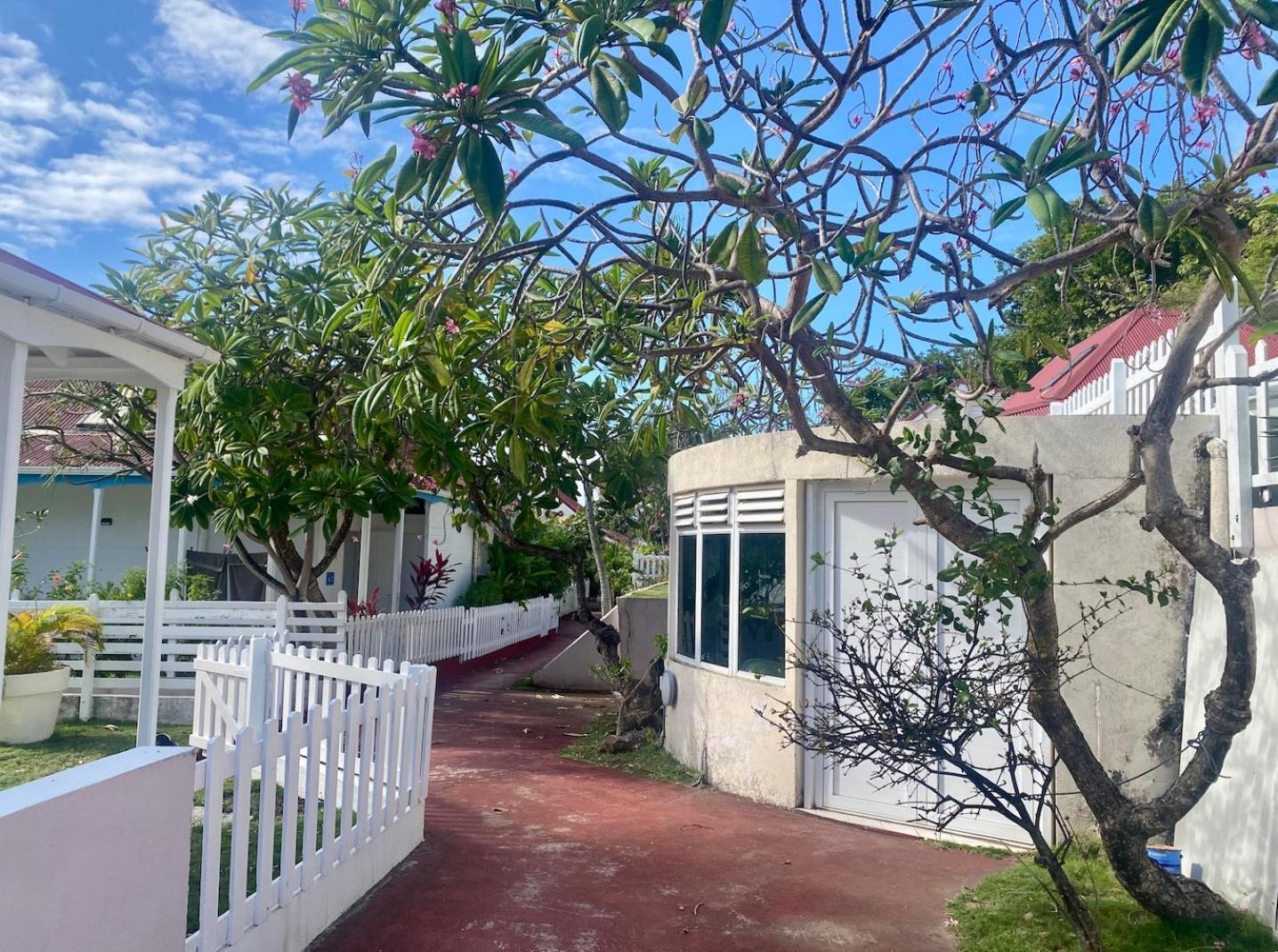 Bungalow Anolis Face A La Mer A 2 Min De La Plage. Terre-De-Haut ภายนอก รูปภาพ