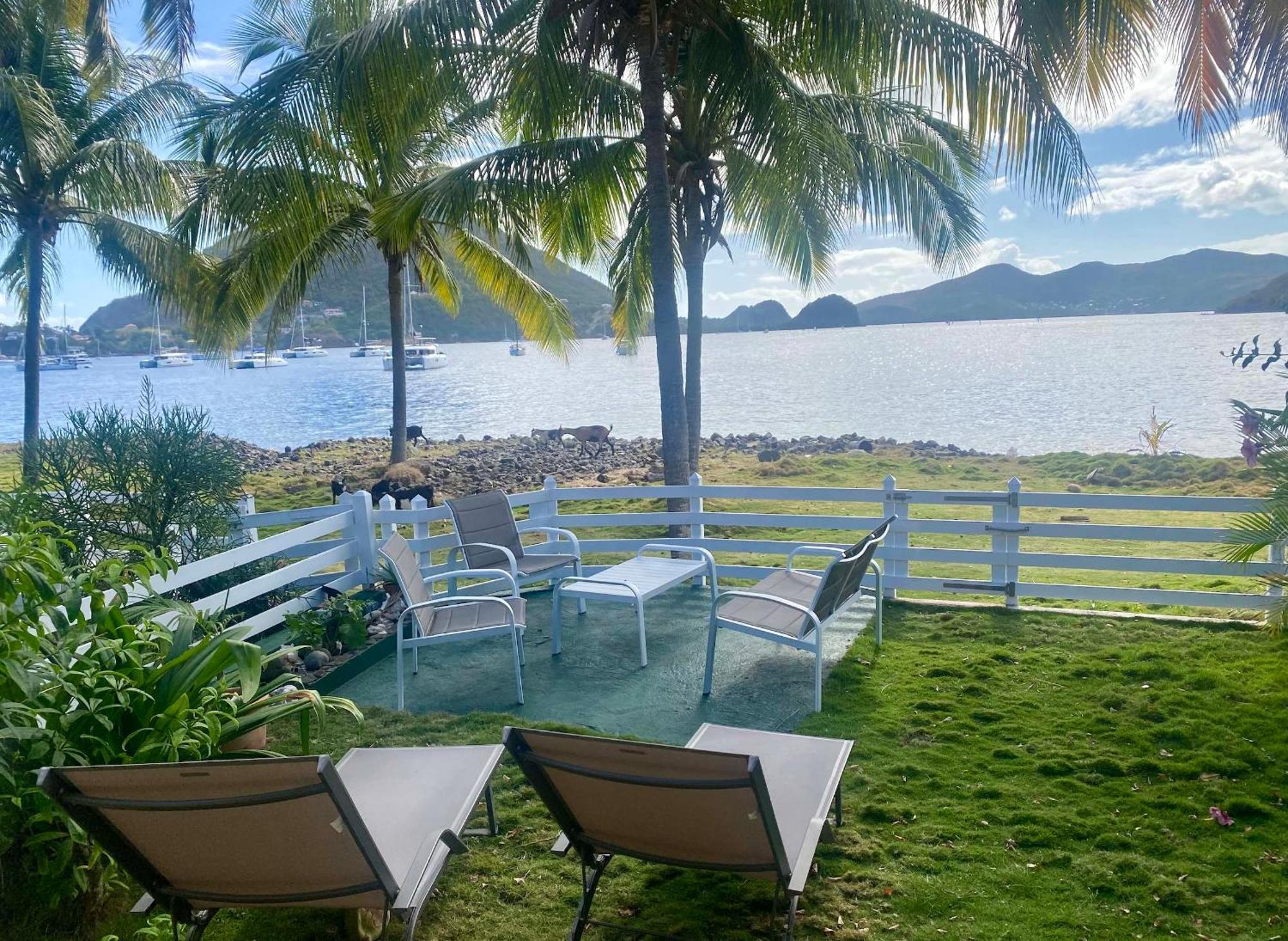 Bungalow Anolis Face A La Mer A 2 Min De La Plage. Terre-De-Haut ภายนอก รูปภาพ
